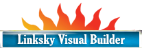 how do i access linksky visual site builder blazing sun